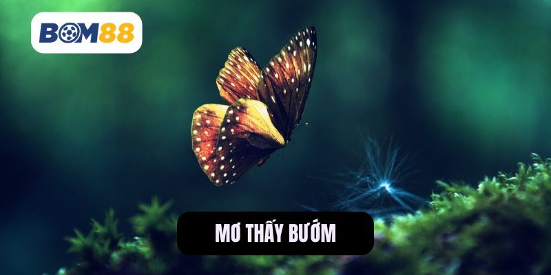 BOM88 Mơ thấy bướm - Giải mã chi tiết và những con số may mắn