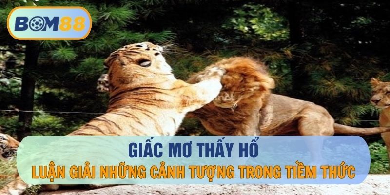 BOM88 Giấc mơ thấy hổ - Luận giải những cảnh tượng trong tiềm thức tại nhà cái BOM88