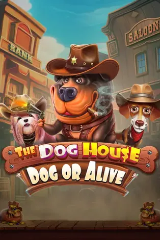 BOM88 The Dog House - Dog or Alive