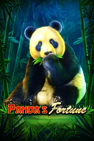BOM88 Panda's Fortune